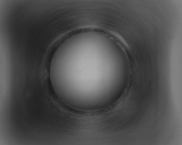 X0000101461064200807071127