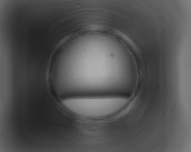 X0000101461065200807071127