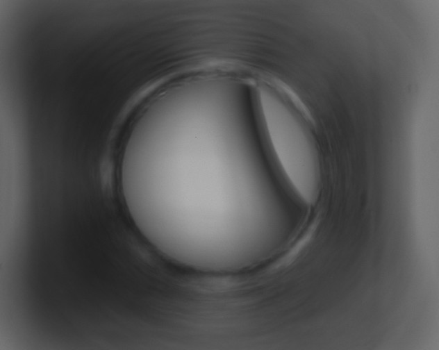 X0000101461066200807071127