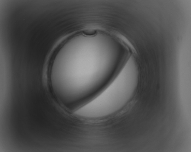 X0000101461068200807071127