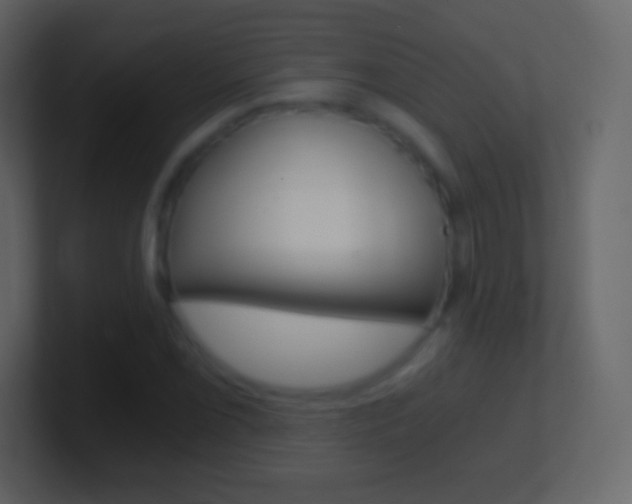 X0000101461069200807071127