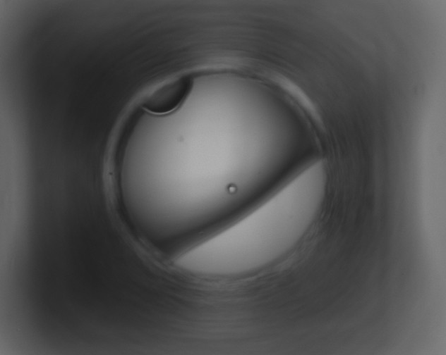 X0000101461072200807071127