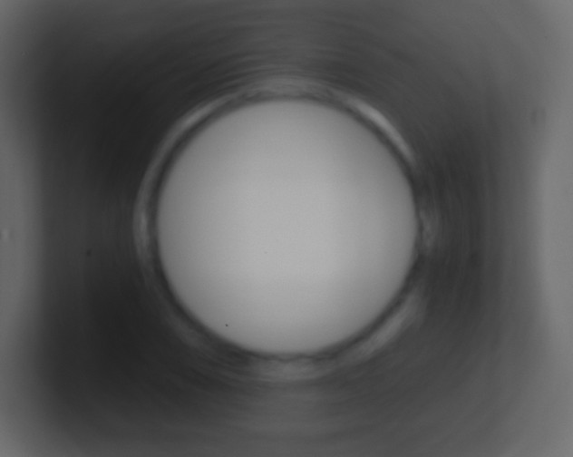 X0000101461074200807071127