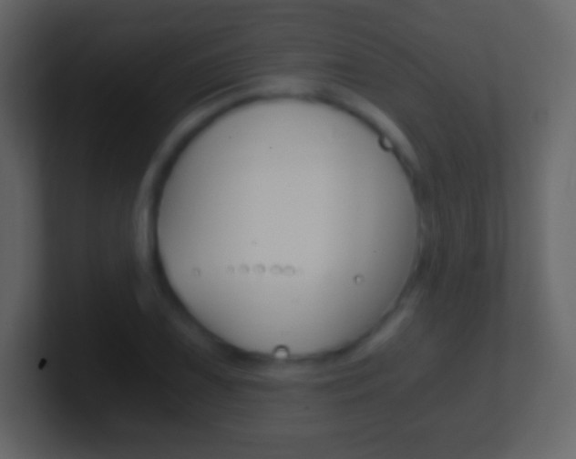 X0000101461075200807071127