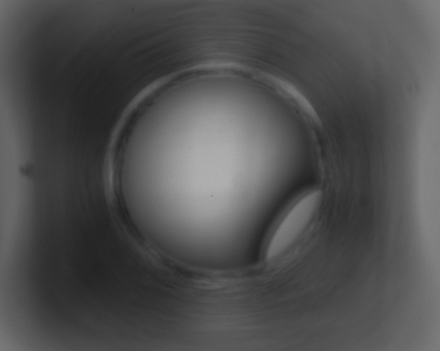 X0000101461076200807071127