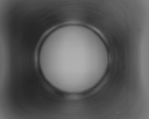 X0000101461078200807071127