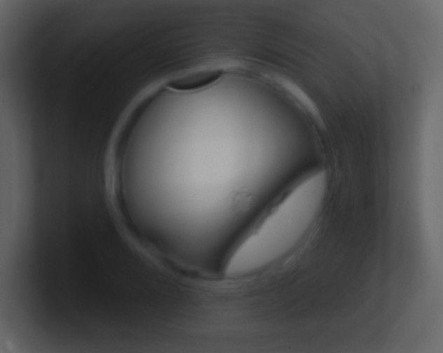 X0000101461080200807071127