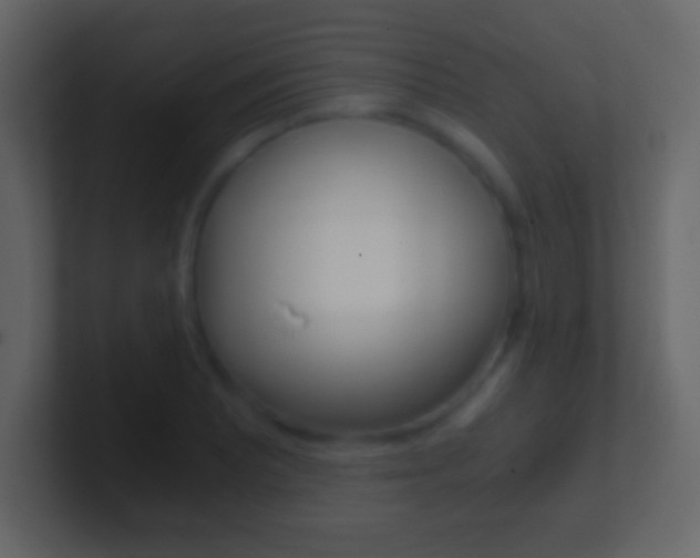 X0000101461081200807071127