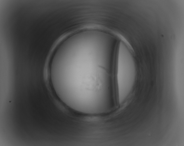 X0000101461082200807071127