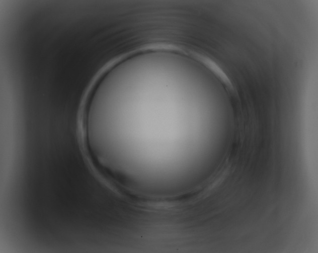 X0000101461084200807071127