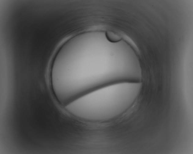 X0000101461087200807071127