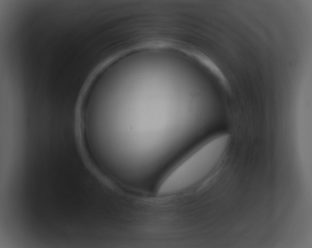 X0000101461088200807071127