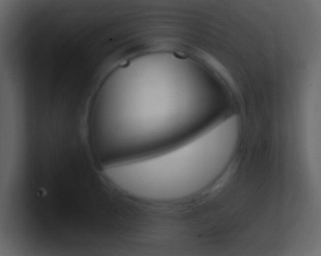 X0000101461089200807071127