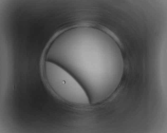 X0000101461091200807071127