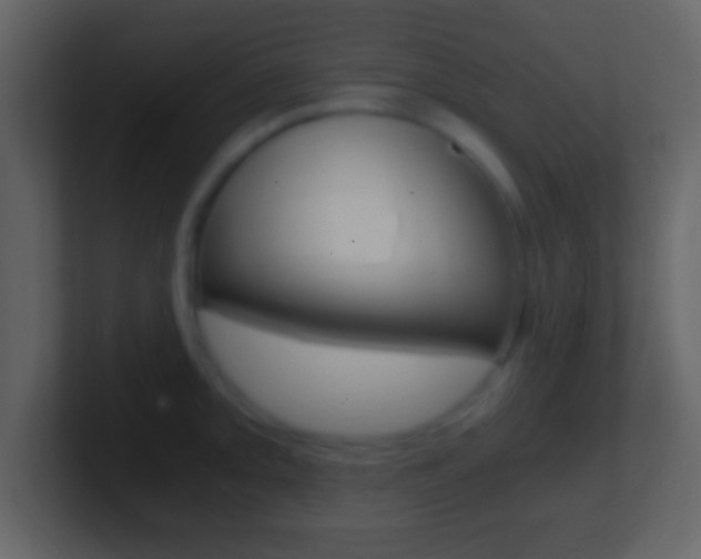 X0000101461093200807071127
