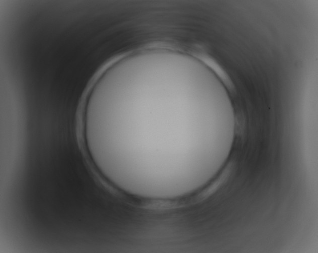 X0000101461094200807071127