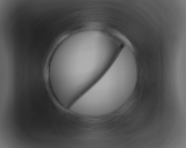 X0000101461095200807071127