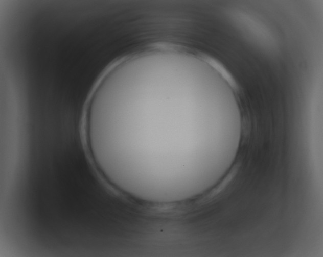 X0000101461098200807071127