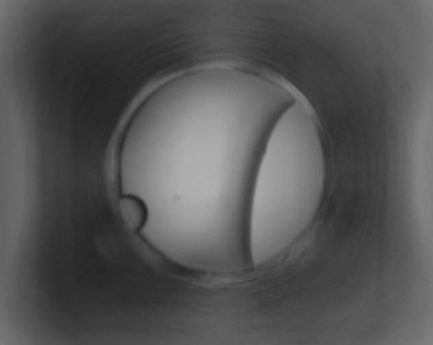 X0000101461099200807071127