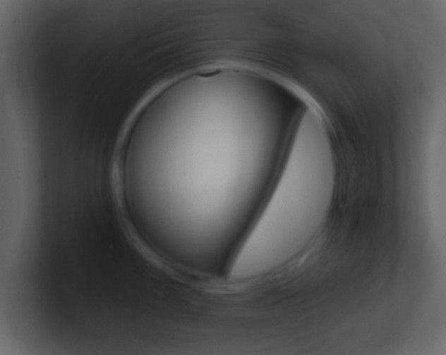 X0000101461100200807071127
