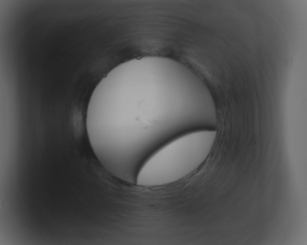 X0000101461106200807071126