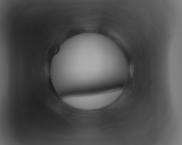 X0000101461107200807071126