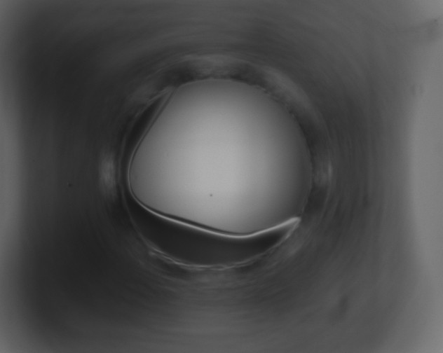 X0000101461108200807071126