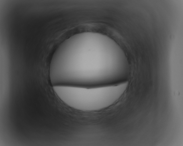 X0000101461109200807071126