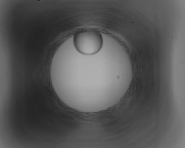 X0000101461110200807071126