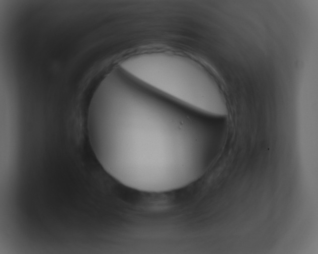 X0000101461111200807071126