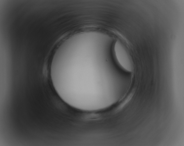 X0000101461113200807071126