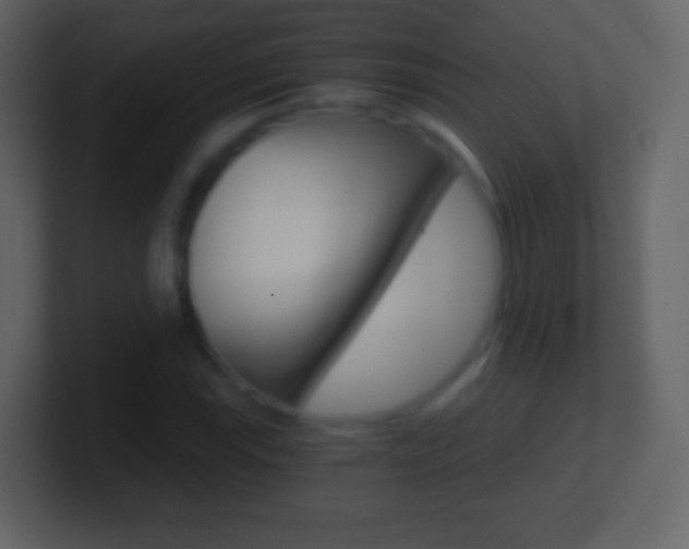 X0000101461115200807071126
