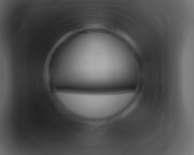 X0000101461118200807071126