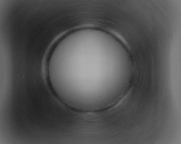 X0000101461119200807071126