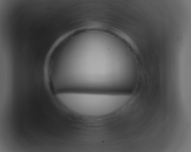 X0000101461120200807071126