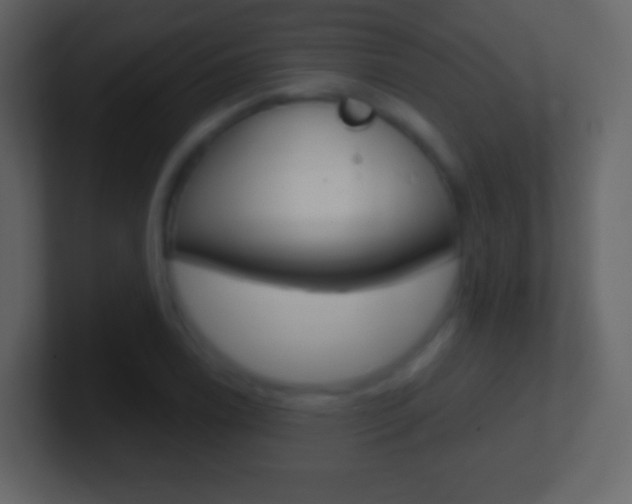 X0000101461122200807071126