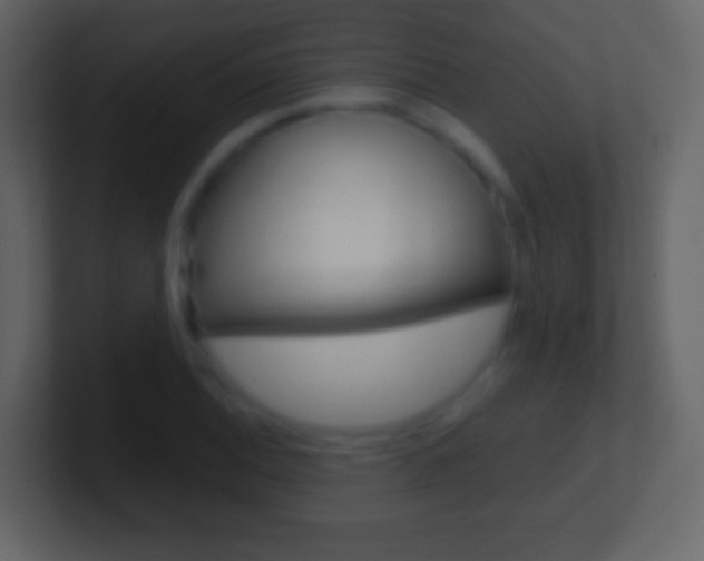 X0000101461124200807071126