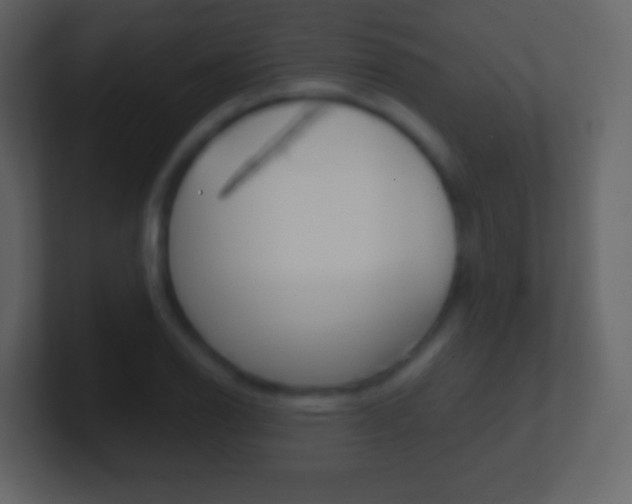 X0000101461126200807071126