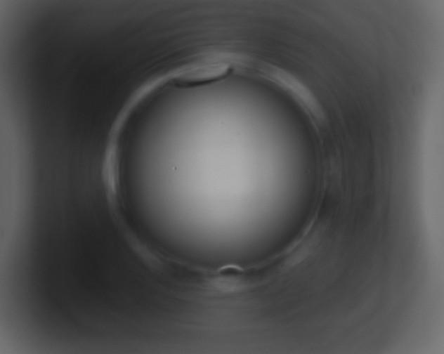 X0000101461128200807071126