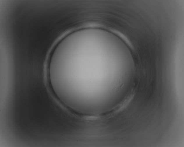 X0000101461134200807071126