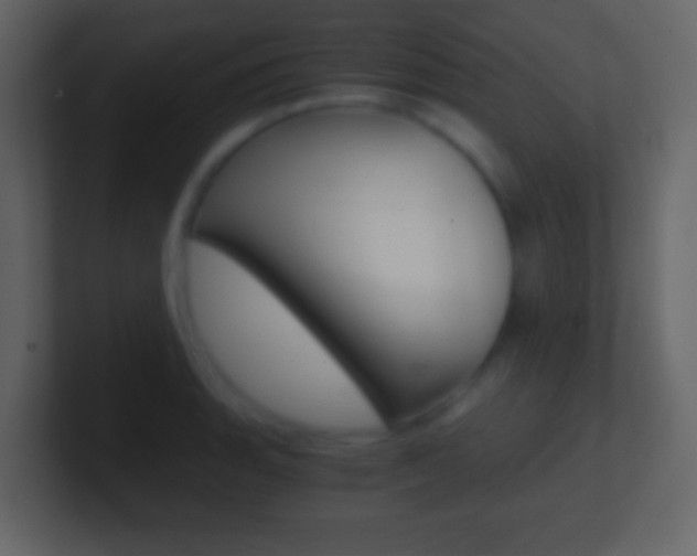 X0000101461135200807071126