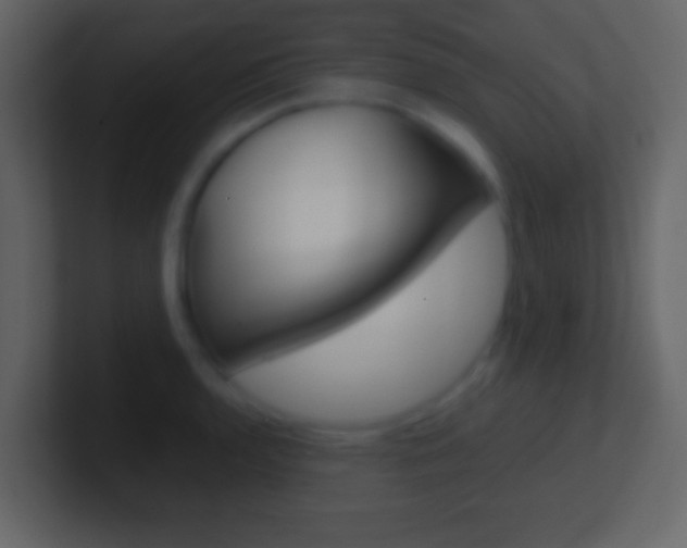 X0000101461136200807071126