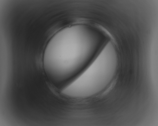 X0000101461137200807071126