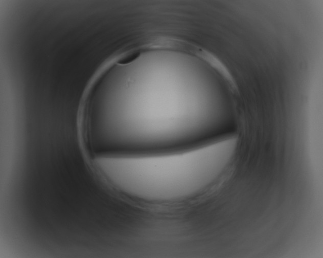 X0000101461138200807071126
