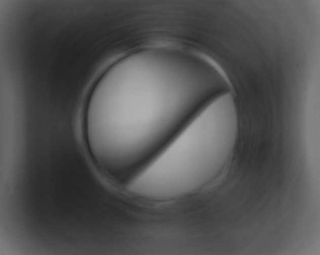 X0000101461139200807071126