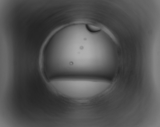 X0000101461140200807071126