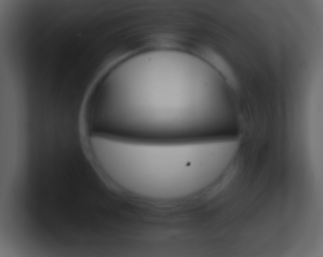 X0000101461141200807071126