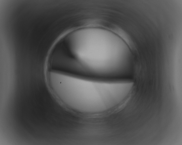 X0000101461142200807071126