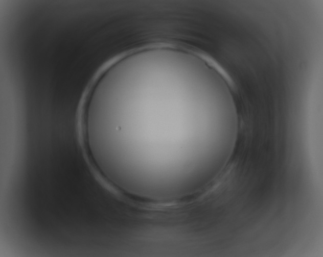 X0000101461143200807071127