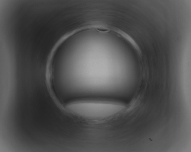 X0000101461144200807071127